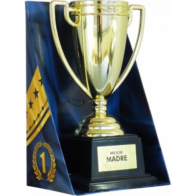 COPA TROFEO MEJOR MADRE