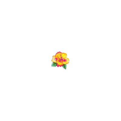 GLOBO FOIL FLOR TROPICAL 26'