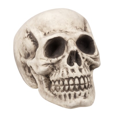 CALAVERA CABEZONA (23 X 22 X 31 CM)