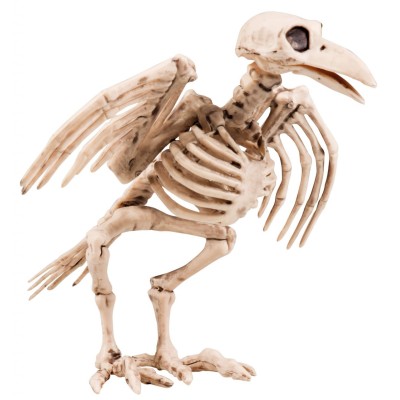 DECO. PAJARO ESQUELETO