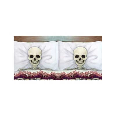 2 FUNDAS DE ALMOHADA