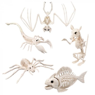 ESQUELETOS ANIMALES SURTIDOS