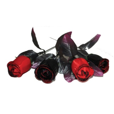 ROSA NEGRA & ROJA