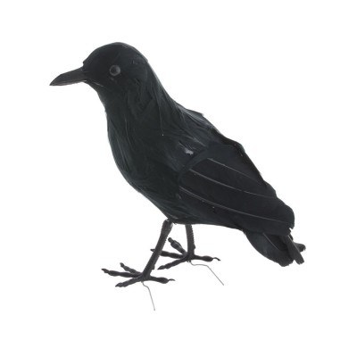 CUERVO NEGRO 23 CM