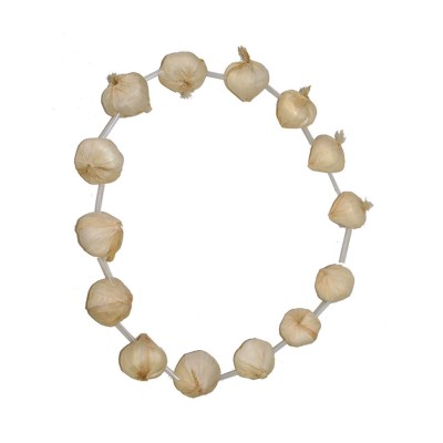 COLLAR DE AJO