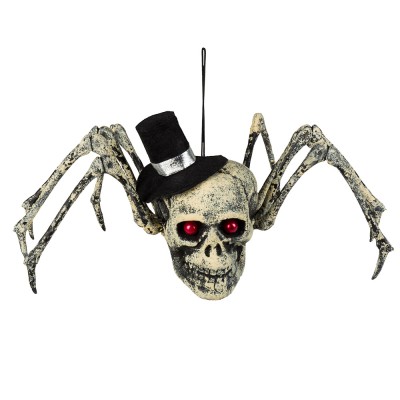 CRÁNEO DE ARAÑA (15 X 24 X 10 CM)