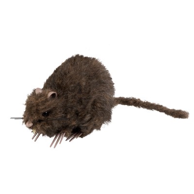 RATA DECORATIVA