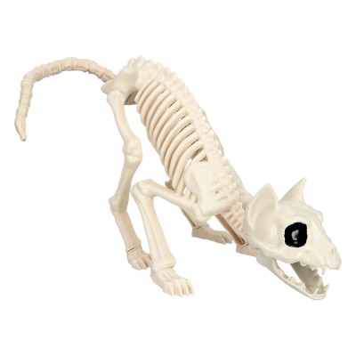 ESQUELETO DE GATO (49 X 18 X 14 CM)
