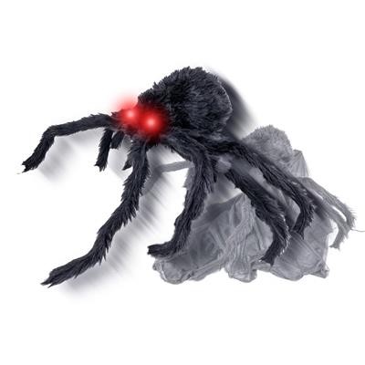 ARAÑA SALTADORA 50 CM