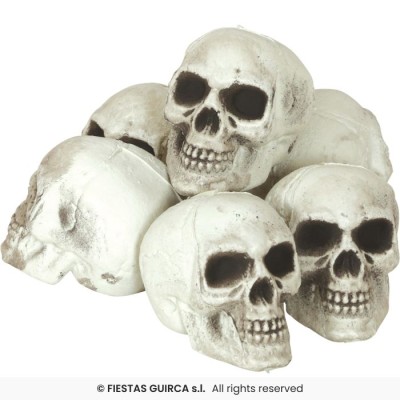 PACK 6 CALAVERAS 8 CMS