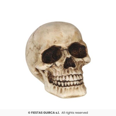 CALAVERA RESINA 8 CMS