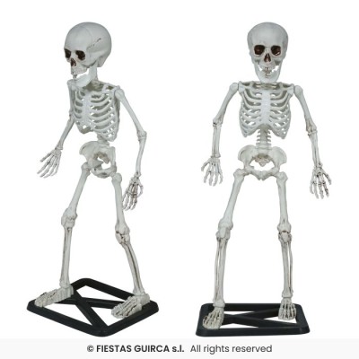 ESQUELETO DE PIE 55 CMS