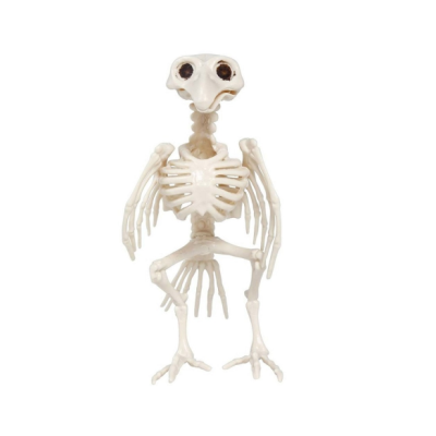 ESQUELETO CUERVO 20 CM