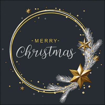 SERVILLETAS MERRY CHRTSMAS NEGRA 33 CM 20 UND