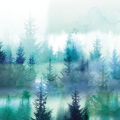 SERVILLETA BOSQUE AZUL 33 CM 20 UND