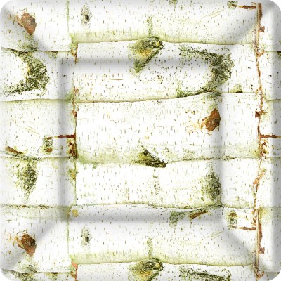 PLATO CARTON BIRCH PEQUEÑO 8 UND