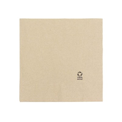 SERVILLETA NATURE 40X40 50 UND HODECOR