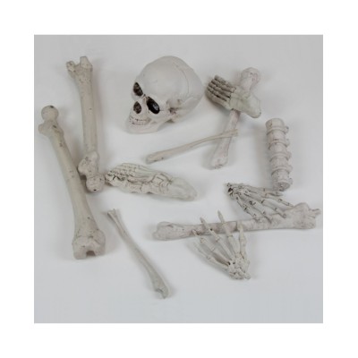 DECORACION KIT HUESOS