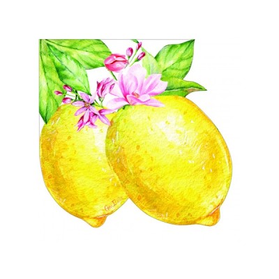 SERVLLETAS COLECCION LIMONES 33 CM 16 UND