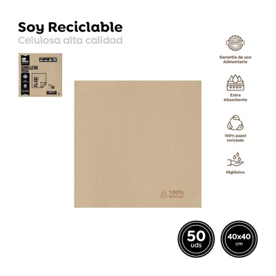 SERVILLETA NATURE  40 CM 50 UND