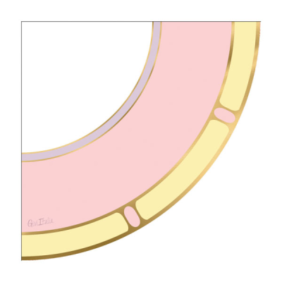 SERVILLETAS VANITY PINK 33 CM 16 UND
