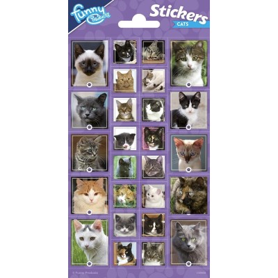 PEGATINAS 102 X 200 MM CATS