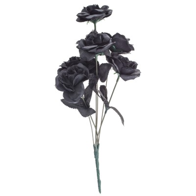 6 ROSAS NEGRAS